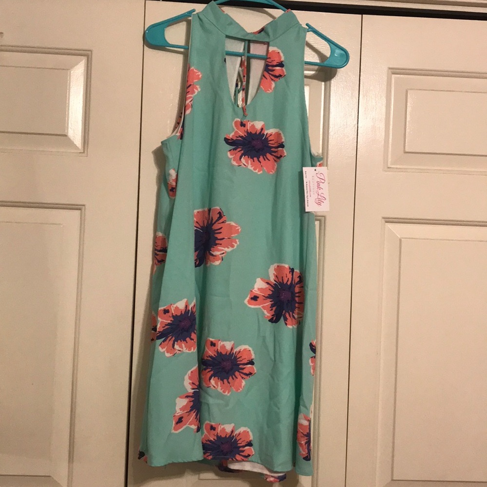 NWT Pink Lily boutique dress